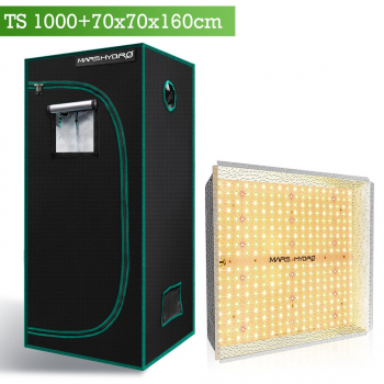 TS1000 Lampe + Growbox